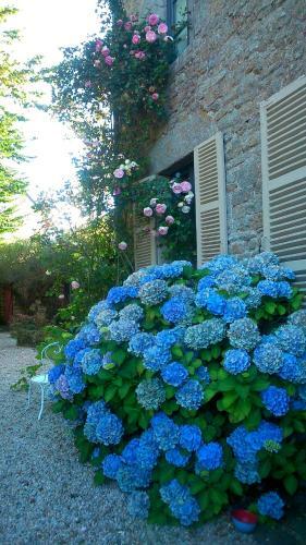 Hostal La Demeure Du Collectionneur