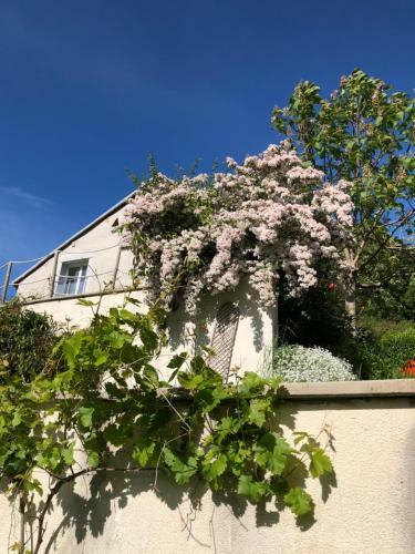 Bed & Breakfast Le Paradis Des Gen(T)s