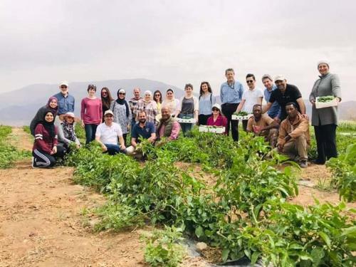 Agroturismo Safi Kitchen