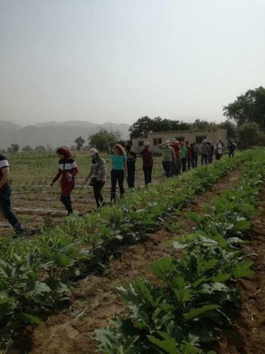 Agroturismo Safi Kitchen