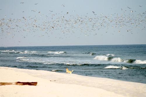 Apartamento Beach'n'sea Wohnung 10