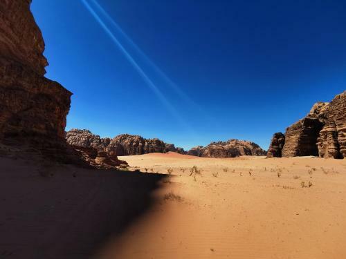 Wadi Rum Crazy Camel Experience