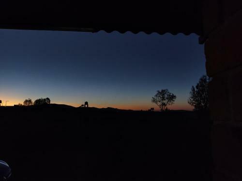 Caba�a �rbol De La Vida
