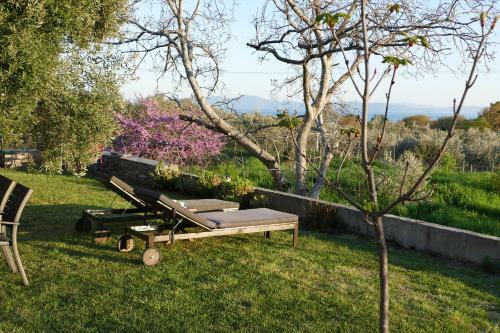 Art Villa Pelion
