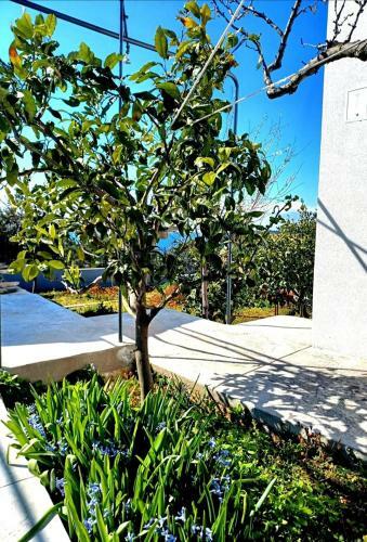 Seafront Villa ?entada Near Trogir, Heated Pool, Childrens Playground, Bbq