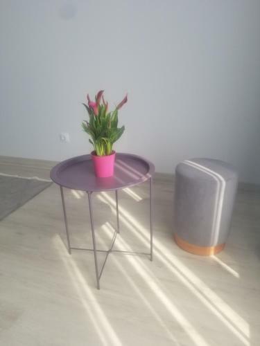 Apartamentcentru