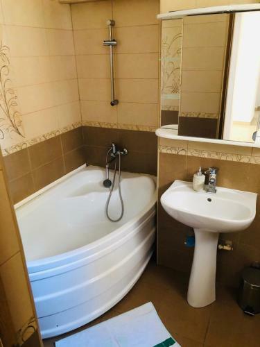 Apartment Unic Alba Iulia