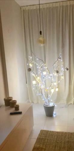 Apartamento Kasa Imbondeiro