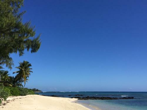 Magnifique Villa +guest House Ind�pendante
