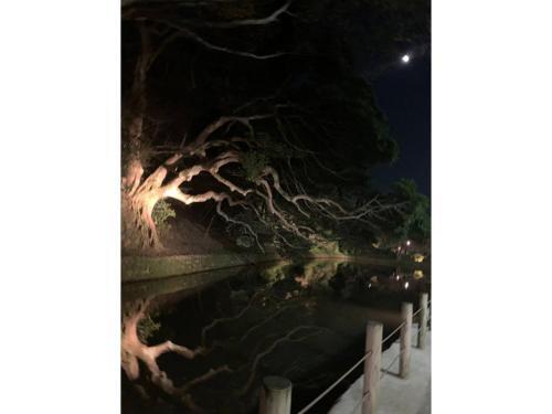 Kanazawa Seiren - Vacation Stay 05525v