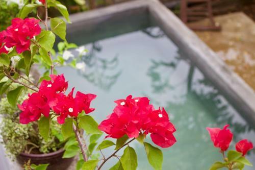 Hostal Gypsy Garden Guesthouse