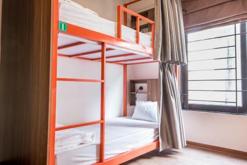 Hanoi Buffalo Hostel