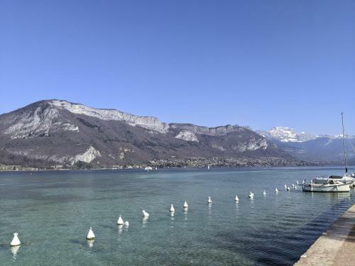 Apartamento Cocon Annecien Entre Lac Et Montagne