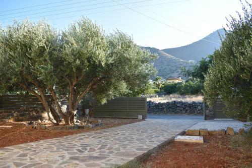 Apartamento Elounda Holidays Achillea