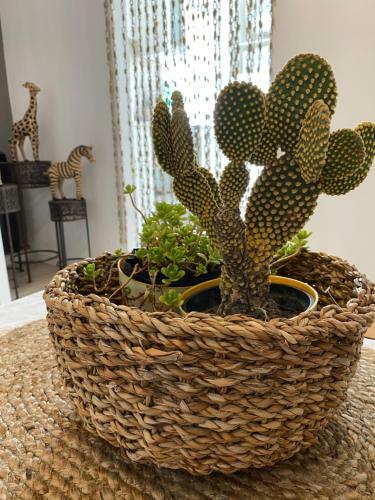 Apartamento Departamento Nuestra Lupita Blanca