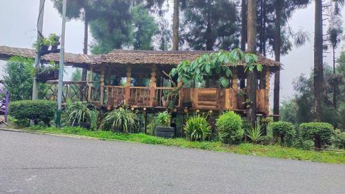 Himalayan Viewpoint Homestay