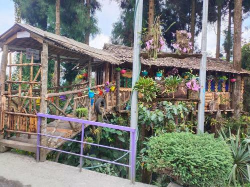 Himalayan Homestay