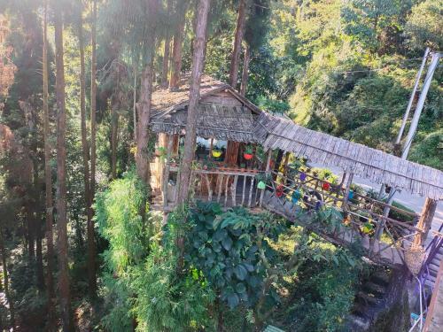 Himalayan Homestay
