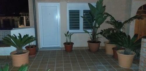 Hostal La Flor Del Para�so