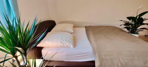 Apartamento Suites Rive Gauche - Chez Pedro