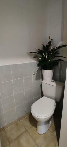 Apartamento Suites Rive Gauche - Chez Pedro