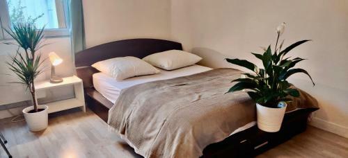 Apartamento Suites Rive Gauche - Chez Pedro