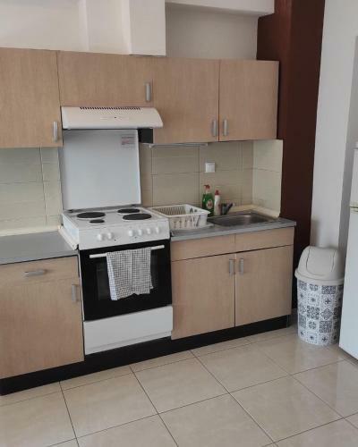 Brisket Apartments, Nea Flogita