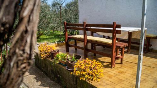 Vecchia Oliva