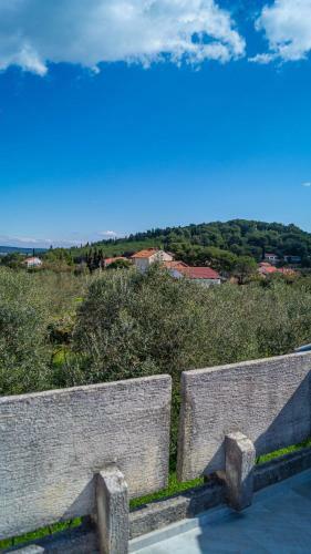 Vecchia Oliva