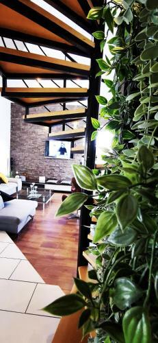 Villa Casa M