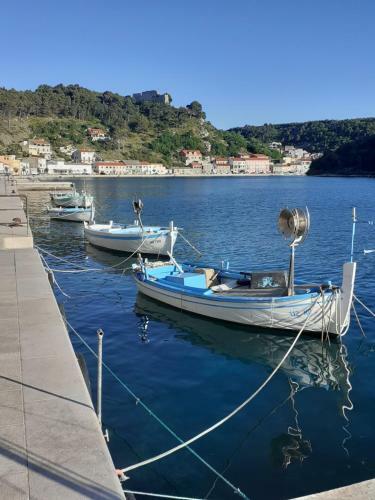 Villa Griz - Novigrad