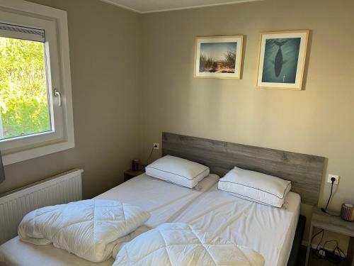 Type Cube Comfort 4 Persons