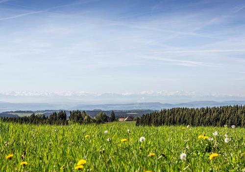 Portens Hotel Fernblick