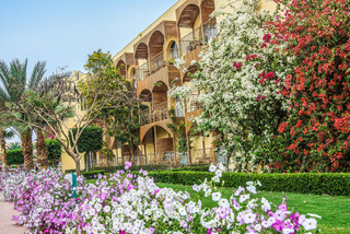 Hotel Desert Rose Resort