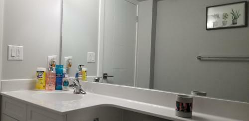 Luxurious 2 Bedroom Basement Suite