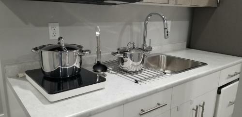 Luxurious 2 Bedroom Basement Suite