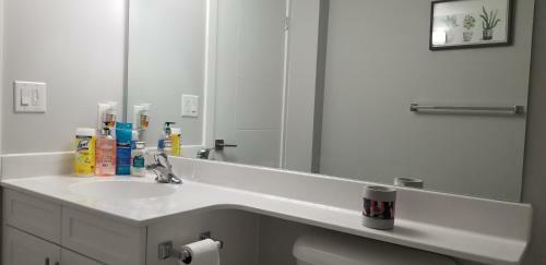 Luxurious 2 Bedroom Basement Suite