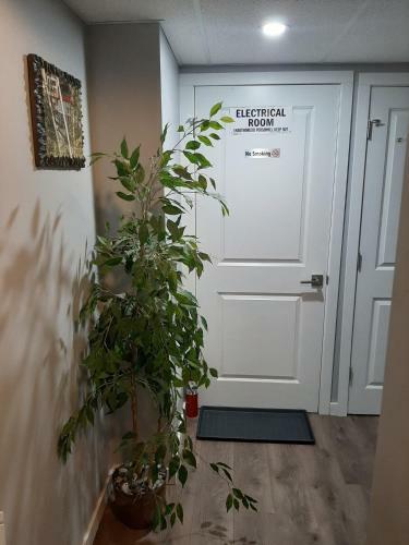 Hostal Luxury, Cozy, Comfortable Home Away From Home