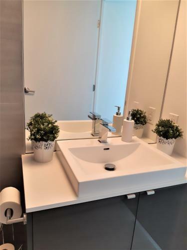 Apartamento Cozy Skyline Entire Condo In Downtown, Across Mts