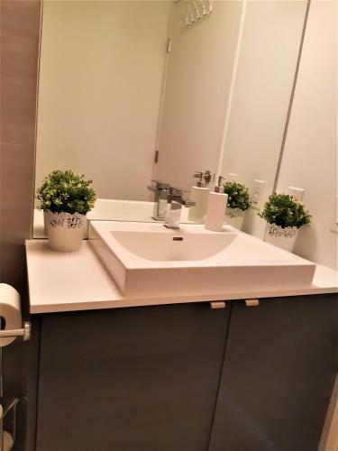 Apartamento Cozy Skyline Entire Condo In Downtown, Across Mts