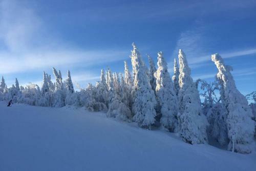 The Beaver Lodge By Escapades Tremblant