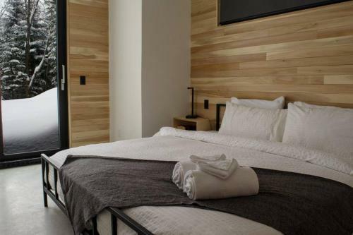 Contemporary + Spa & Sauna
