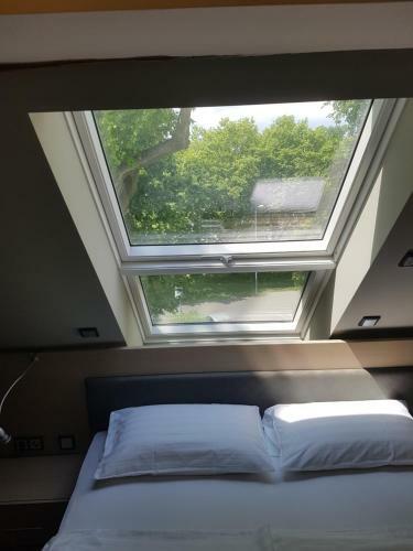Hostal Zum Gr�nen Baum