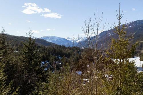 Apartamento Amazing Views 2 Br 2 Ba, Hot Tub And Slopeside