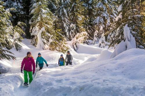 Lofted Suite With Mountain Views And Creekside Location By Harmony Whistler