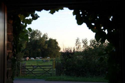 Polder 27