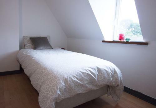 Bed & Breakfast Logies De Witte Hoeve