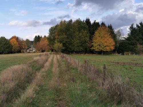 Bed & Breakfast Le Cerf D'hubert