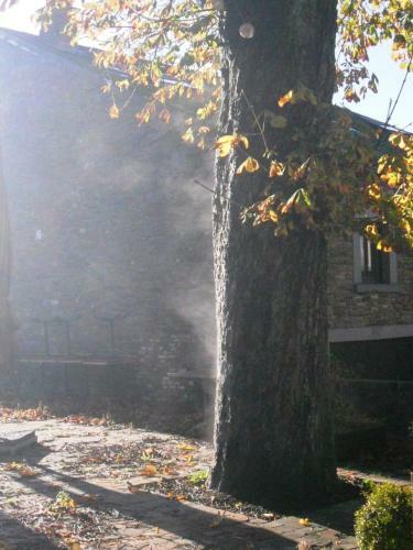 Bed & Breakfast Plumes Et Pinceaux