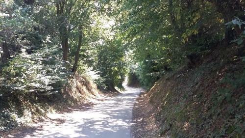 Bed & Breakfast Au Fil Des R�ves